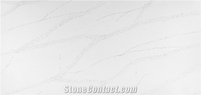 Calacatta Perlia Quartz Slabs