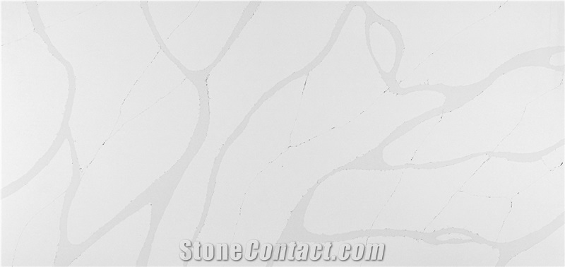 Calacatta Side Quartz Slabs