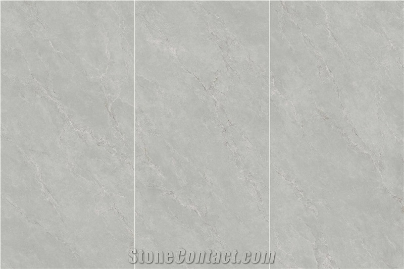 China Fior Di Bosco Grey Matt 1.2Cm Sintered Stone Panels
