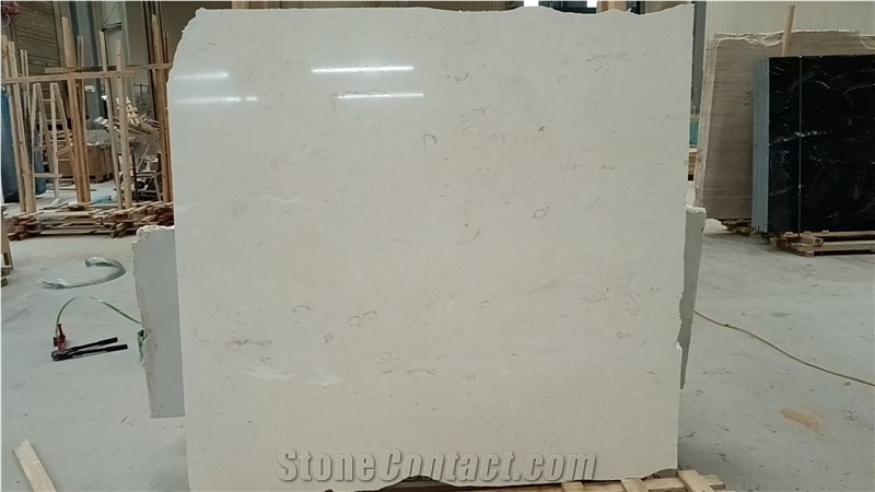 Turkey Shell Beige Marble Slab Pattern For Wall Decoration
