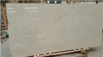 Turkey Shell Beige Marble Slab Pattern For Wall Decoration