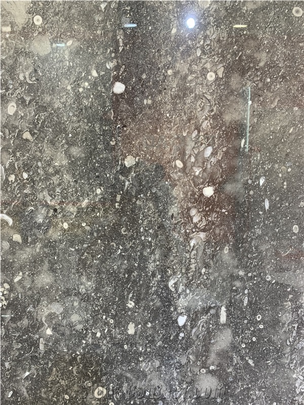 Star Gray Marble Slabs