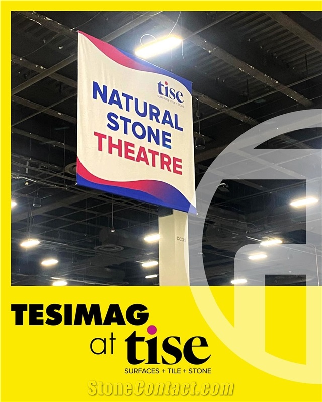 TESIMAG
