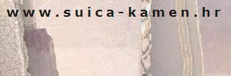 Suica-Kamen