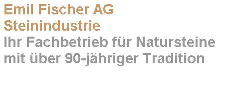 Emil Fischer AG Emil Fischer AG