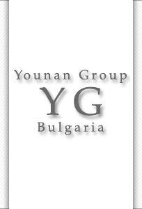 Younan Group