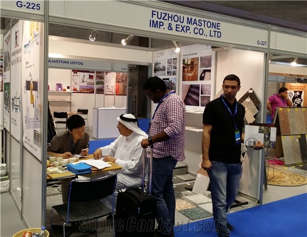Qatar Stone Tech 2014