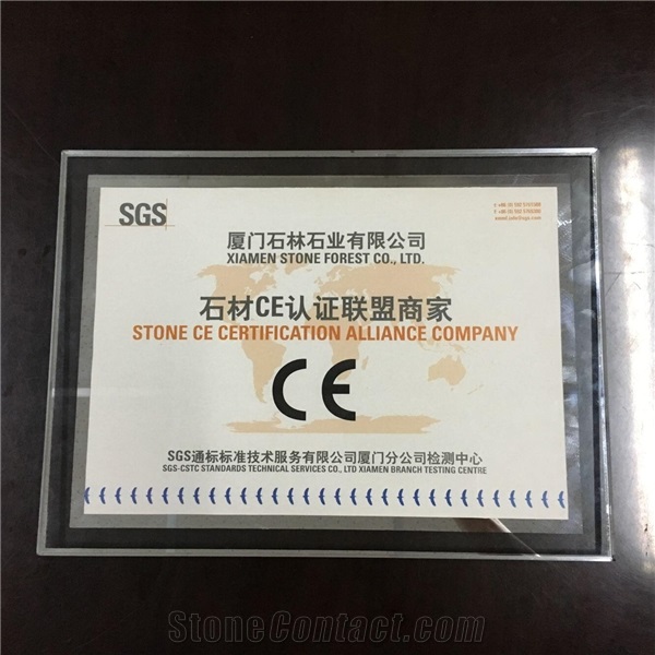 CE CERTIFICATION