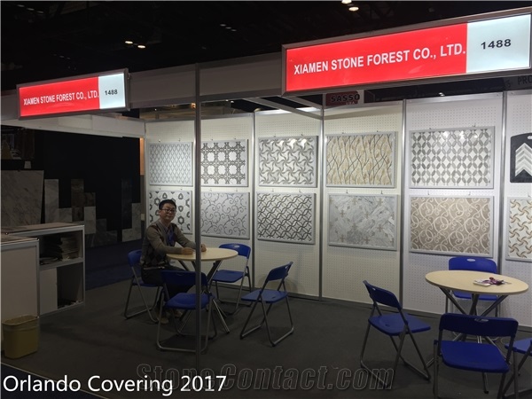 Coverings 2017