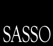 SassoStone SassoStone
