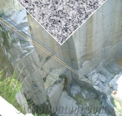 Qixing Stone Co., Ltd.