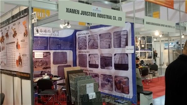 KAMIEN 2014