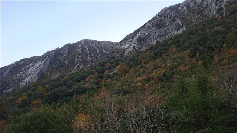 This marble quarry in Albania is for cooperation or for sale