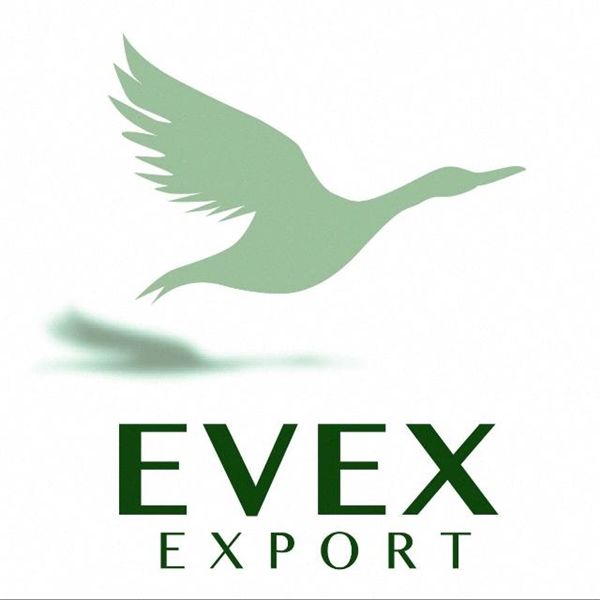 Evex Export Evex Export
