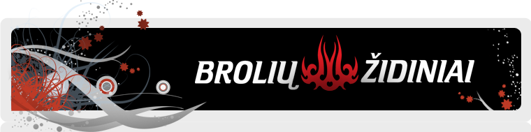 UAB Broliu Zidiniai