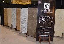 Coverings 2013