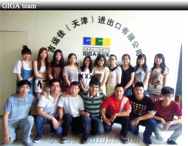 Giga (Tianjin) Import And Export Co., Ltd