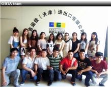 Giga (Tianjin) Import And Export Co., Ltd