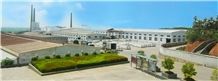 Jiangxi Golden Phoenix Group