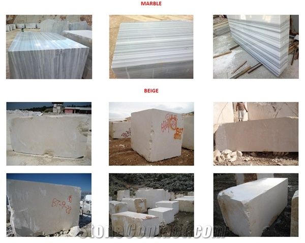 AYCA Ltd.