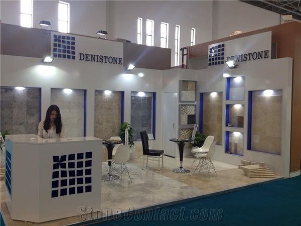 Denistone Inc.