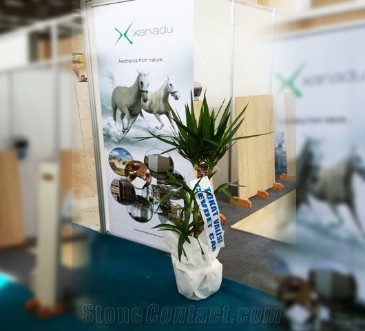 Xanadu Travertine