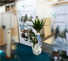 Xanadu Travertine