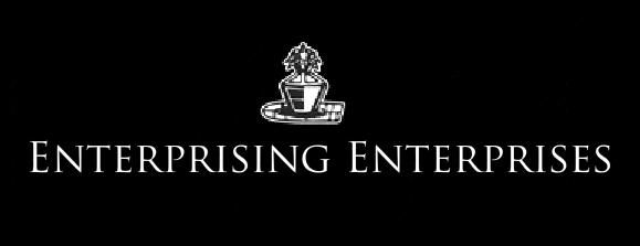 Enterprising Enterprises,India
