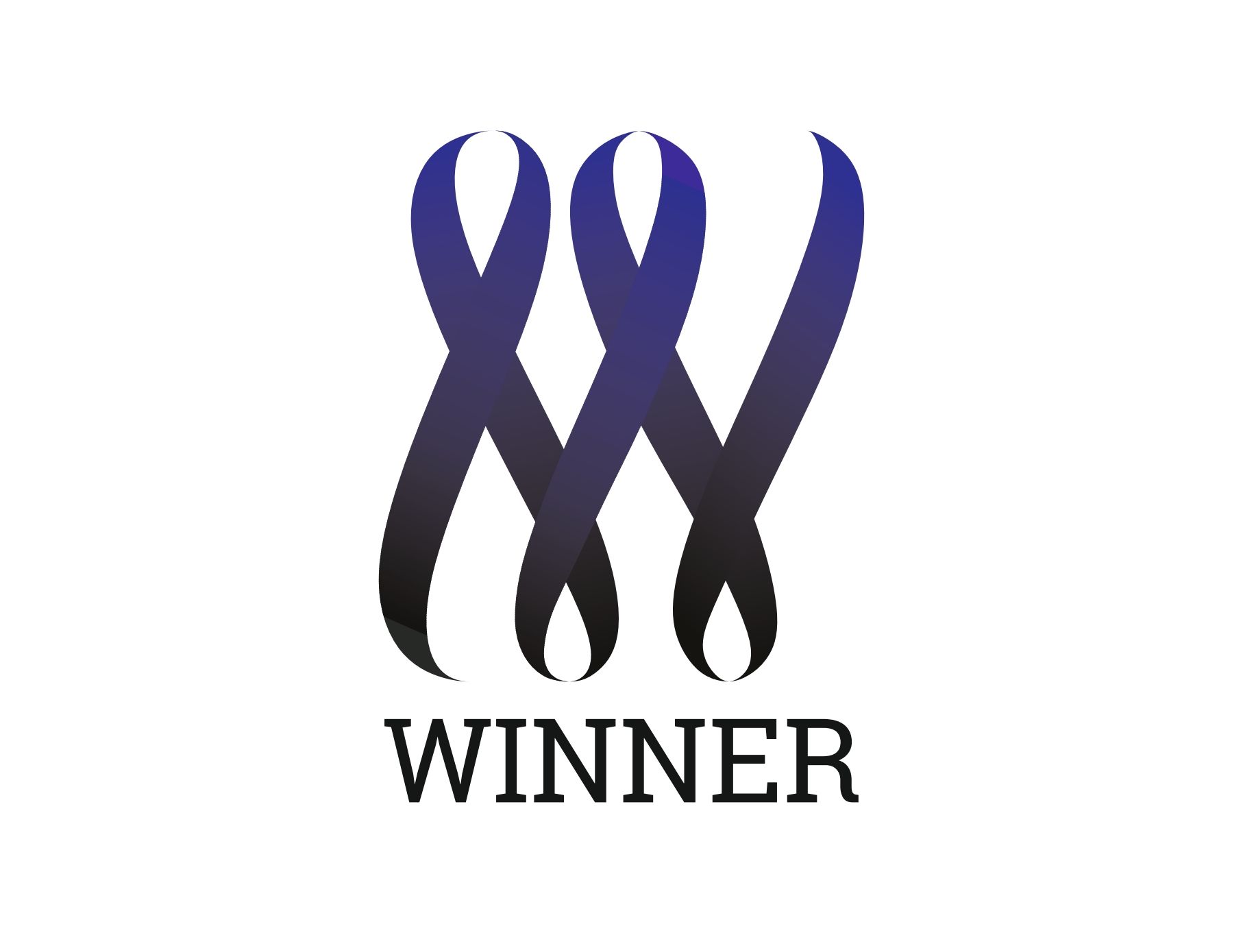WINNER FOUNDATIONS PVT LTD