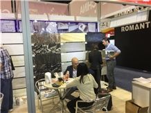 Coverings 2015