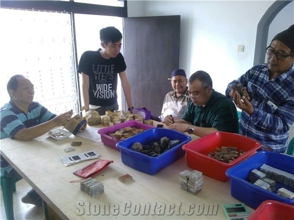 CORAL FOSSIL INDONESIA