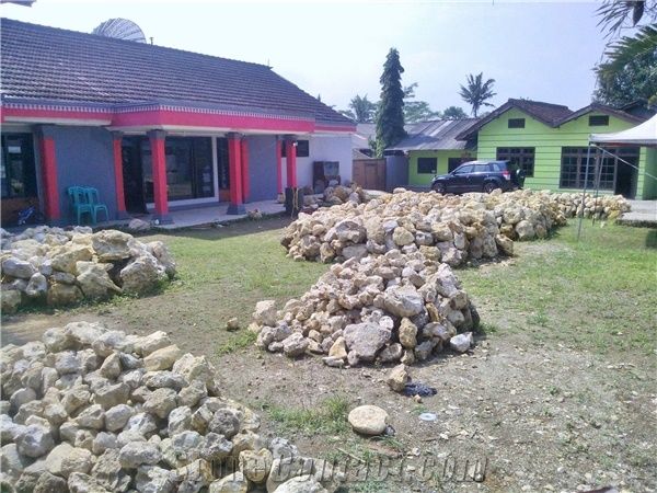 CORAL FOSSIL INDONESIA