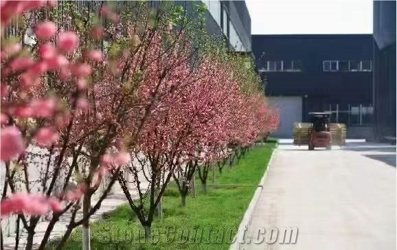 Qinhuangdao Jingwei Stone Co., Ltd