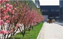 Qinhuangdao Jingwei Stone Co., Ltd