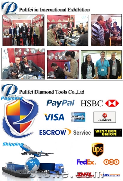 Xin Pulifei Diamond Tools Co.,Ltd