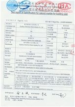 Test Report