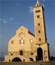 Trani Gold Stone