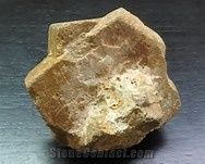 Petrobee