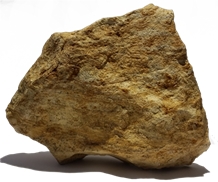 Unico Georgia