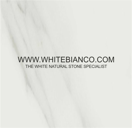 whitebianco.com