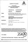 CE Report