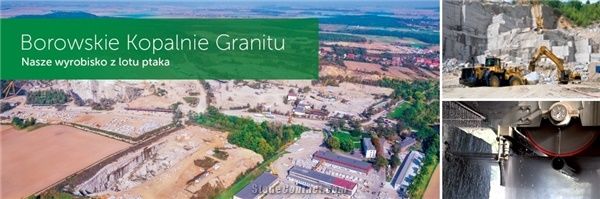 Borowskie Kopanie Granitu i Piaskowca - Skalimex Sp. z o.o.