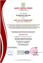 ISO 9001:2015