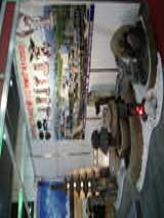 The Stone Show & Hard Surfaces 2006