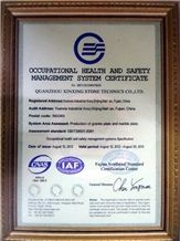 OCCUPATIONAL HEALTH AND SAFETY