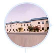 Terrazzo Ltd.