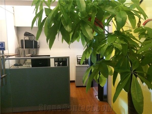 Xiamen Triangle Imp. & Exp. Co., Ltd
