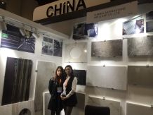 Coverings 2017