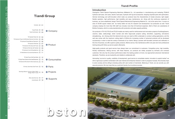 Guangdong TEAM-D Group Co., Ltd