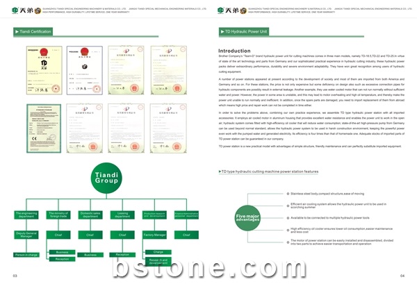 Guangdong TEAM-D Group Co., Ltd